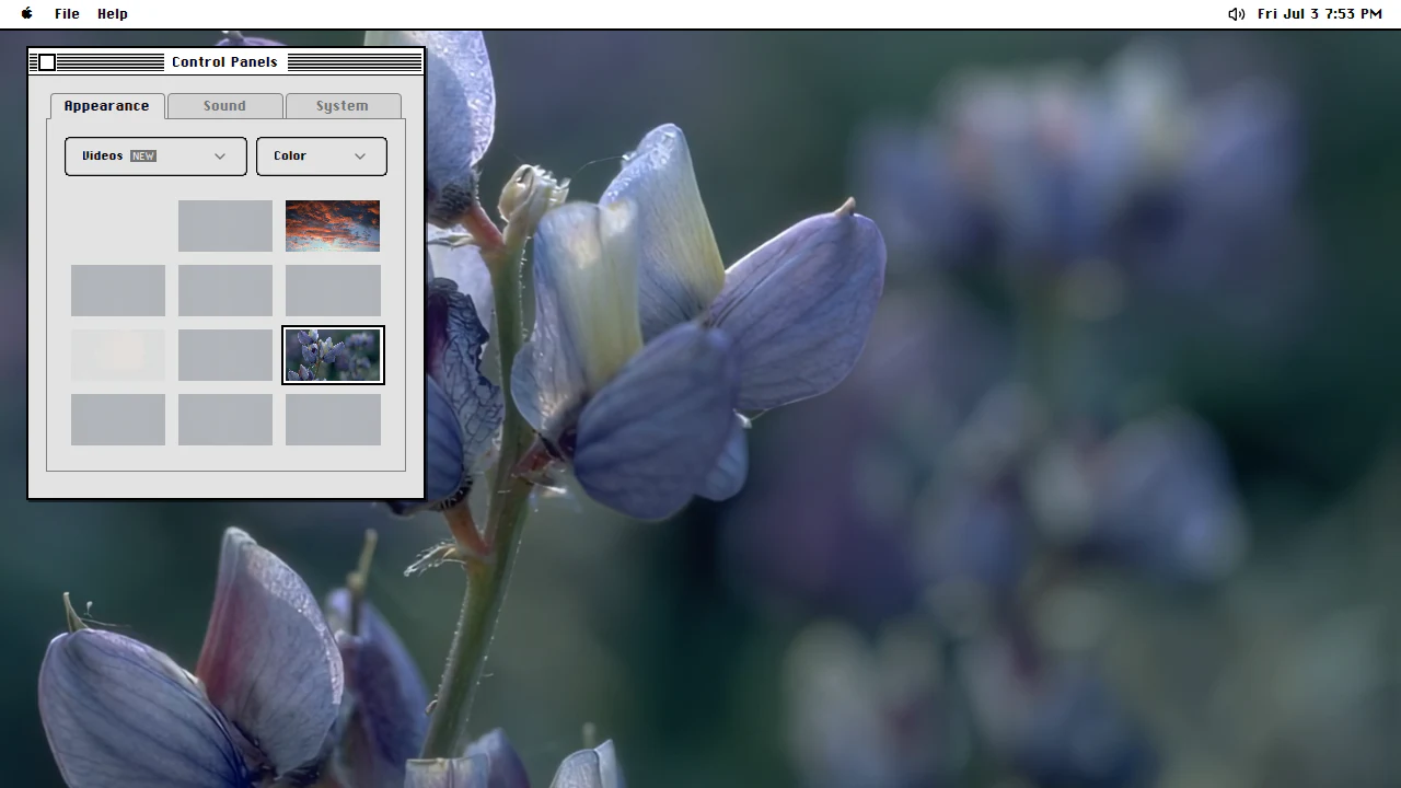 Password management in the June 2025 ryOS snapshot